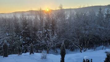 A snowy landscape with trees and a clear sky.