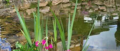 DĂ©tail de lâextĂ©rieur