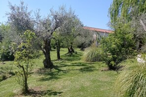 Overnatningsstedets område