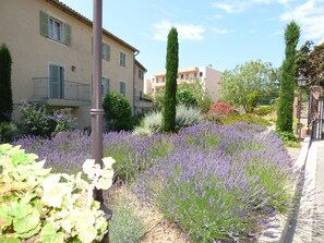 A garden with lavender and other plants, a street lamp, and buildings in the background. - Sanary , CLIM , beaches and shops , terrace and communal garden. (SANARY SUR MER)