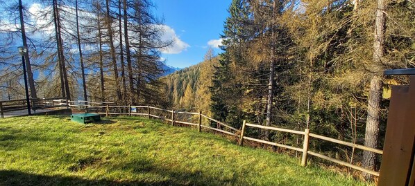 Economy Studio | View from room - Residence Stelvio (Valdisotto)