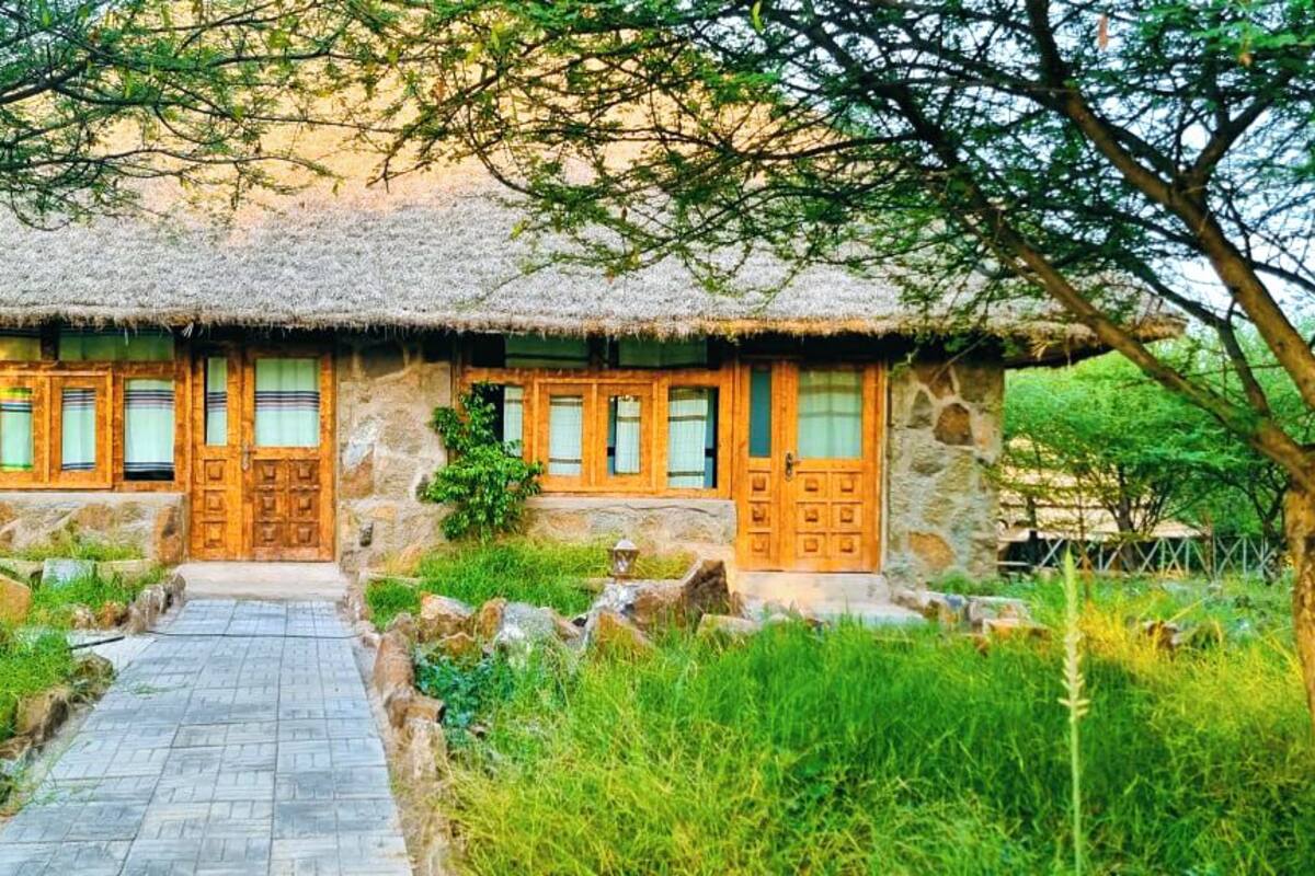 A rustic stone house with a thatched roof, wooden doors, and a stone pathway leading to the entrance.