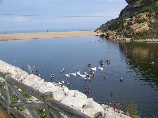 Plage