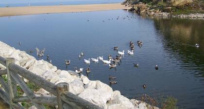 APARTMENT1st floor of 1 casa.Total/independente.Jardim.Praia 10 min.