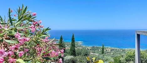 Een buitenzwembad en een verwarmd zwembad