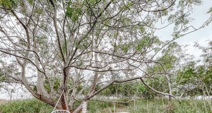 Cute Off Grid Bell Tent with WIFI - 5 min from Haleiwa!!!!