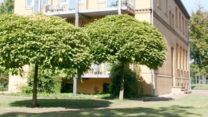 A two-story building with a balcony on the upper floor, surrounded by greenery. - Gästehaus am Lausitzring (Sallgast)