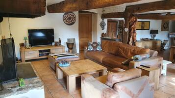 TV connectée, cheminée, jeux vidéo, lecteur de DVD