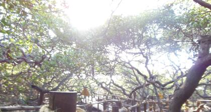 Vacation home with private pool Natal RN Praia de Búzios