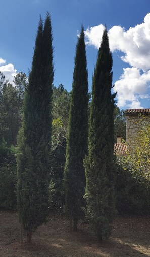 Exterior - Domaine des 3 Cyprès Chez Nath & Pat (Fumel)
