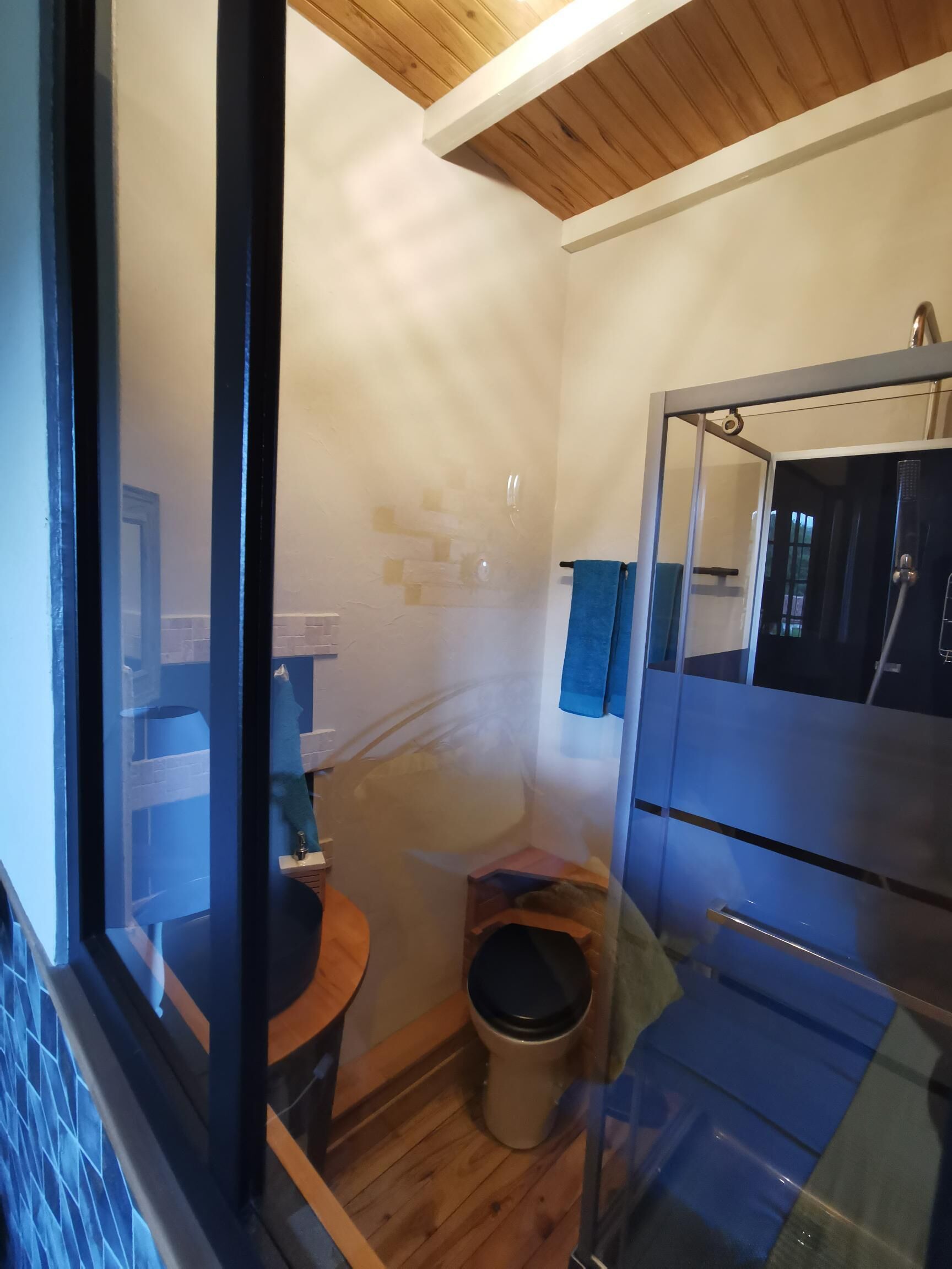 Un bagno compatto con pavimento in legno, un piccolo lavandino e un water.
