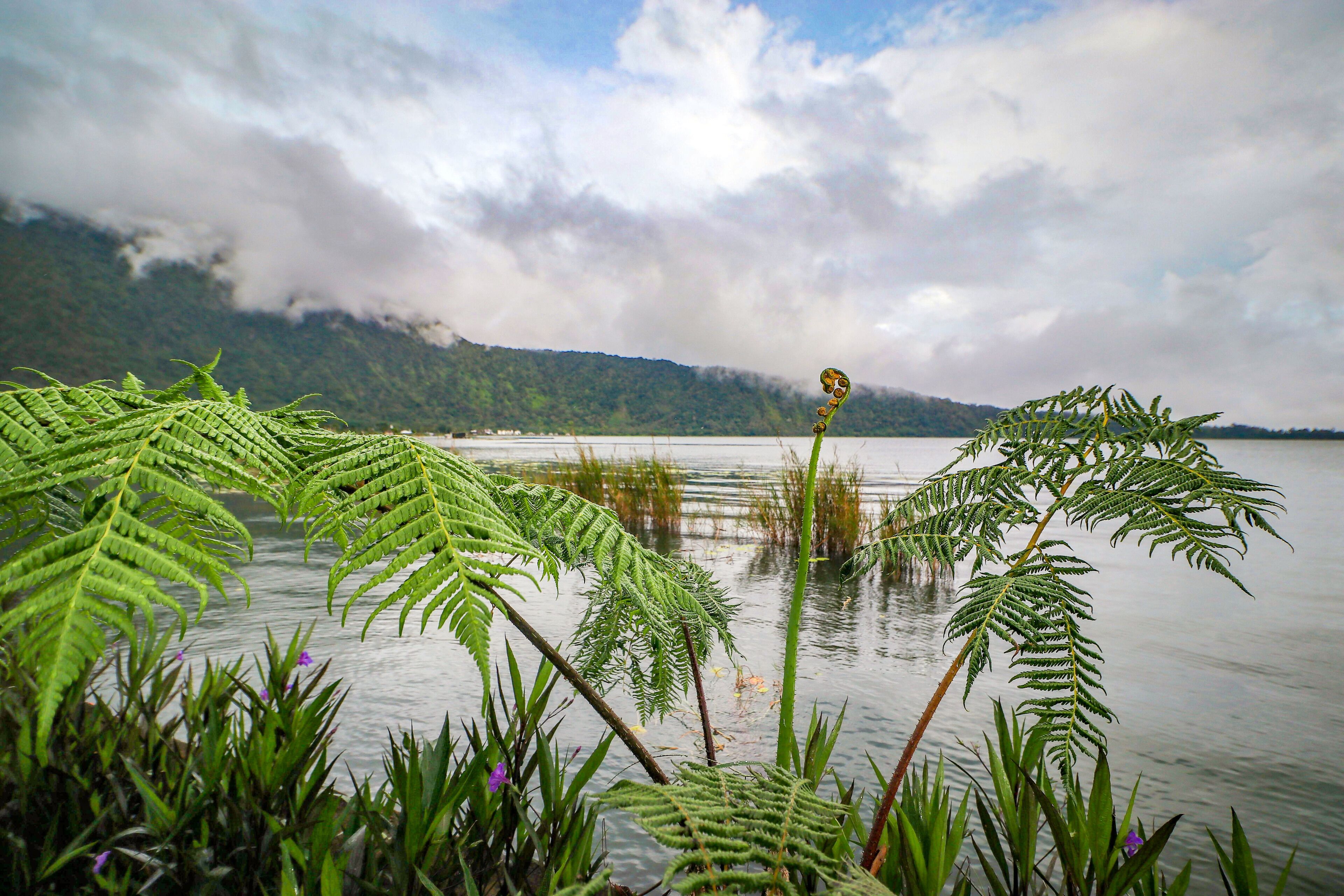 A serene lake with lush greenery and mountains in the background.