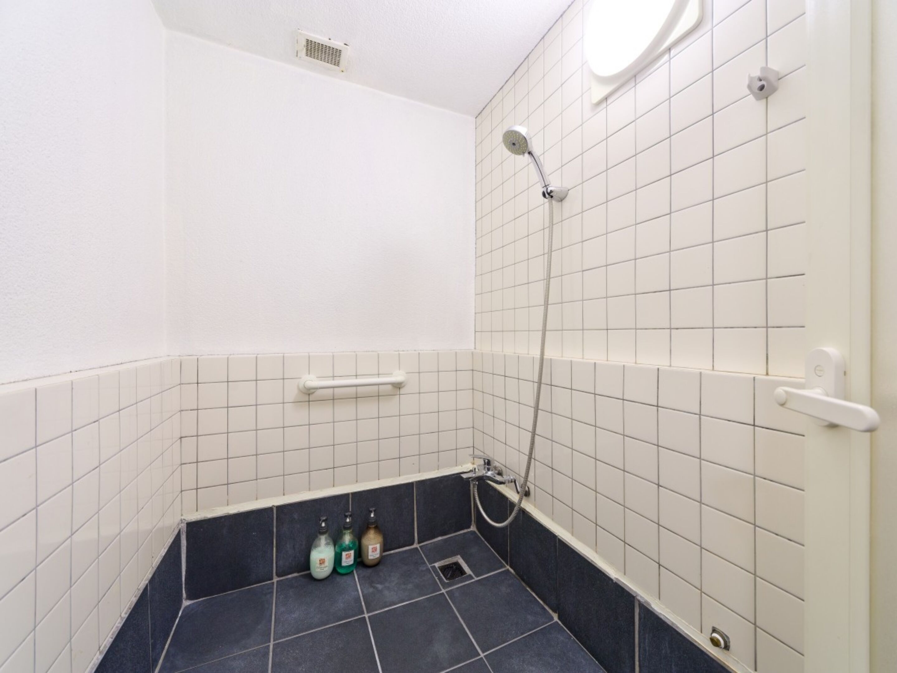 Een kleine betegelde badkamer met een douchekop die je kunt vasthouden, een witte handdoekhouder en drie flessen vloeibare zeep.