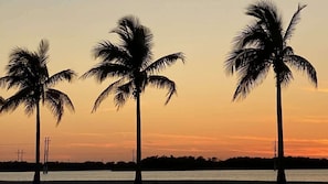 Three palm trees silhouetted against a sunset sky.