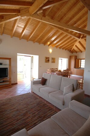 Télévision, cheminée, lecteur de DVD, livres