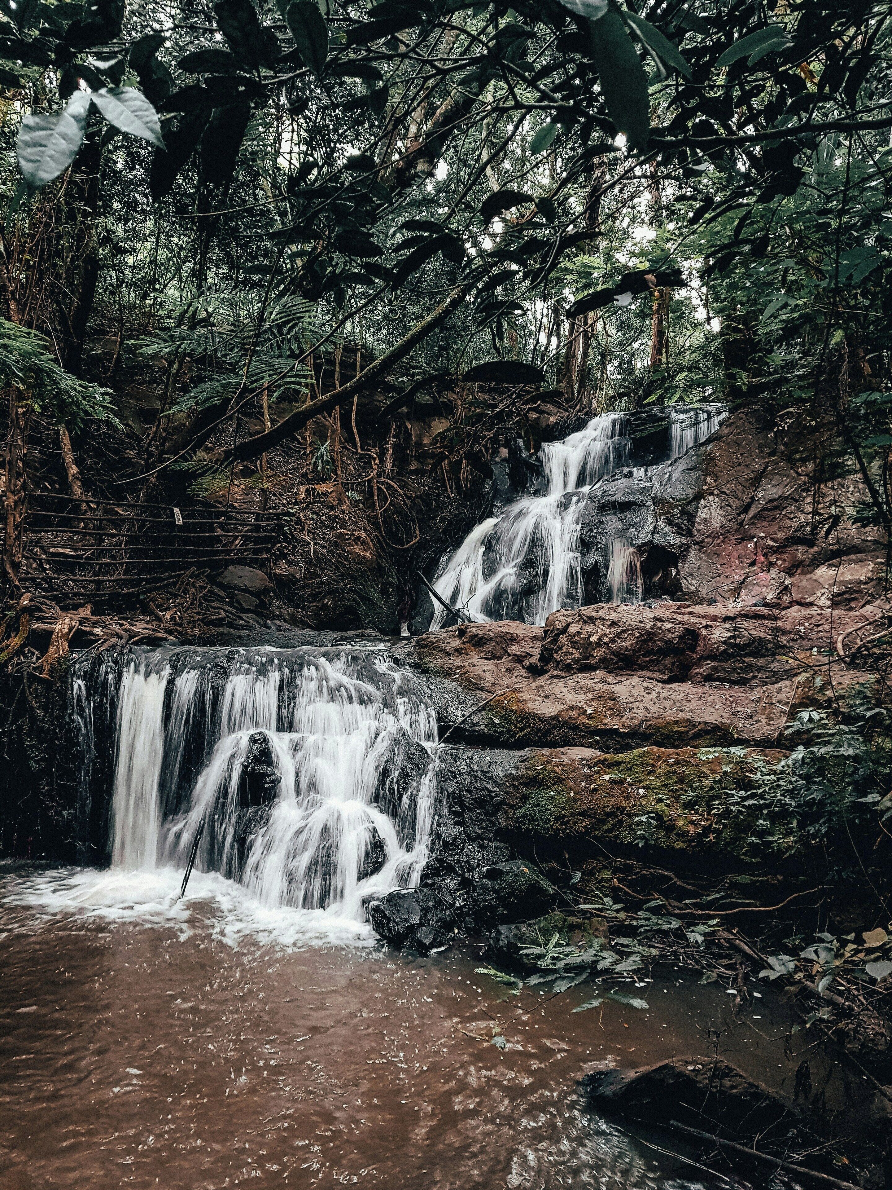 Una cascada natural en un área boscosa con terreno rocoso y follaje denso.