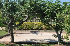 المنطقة المحيطة بالمنشأة