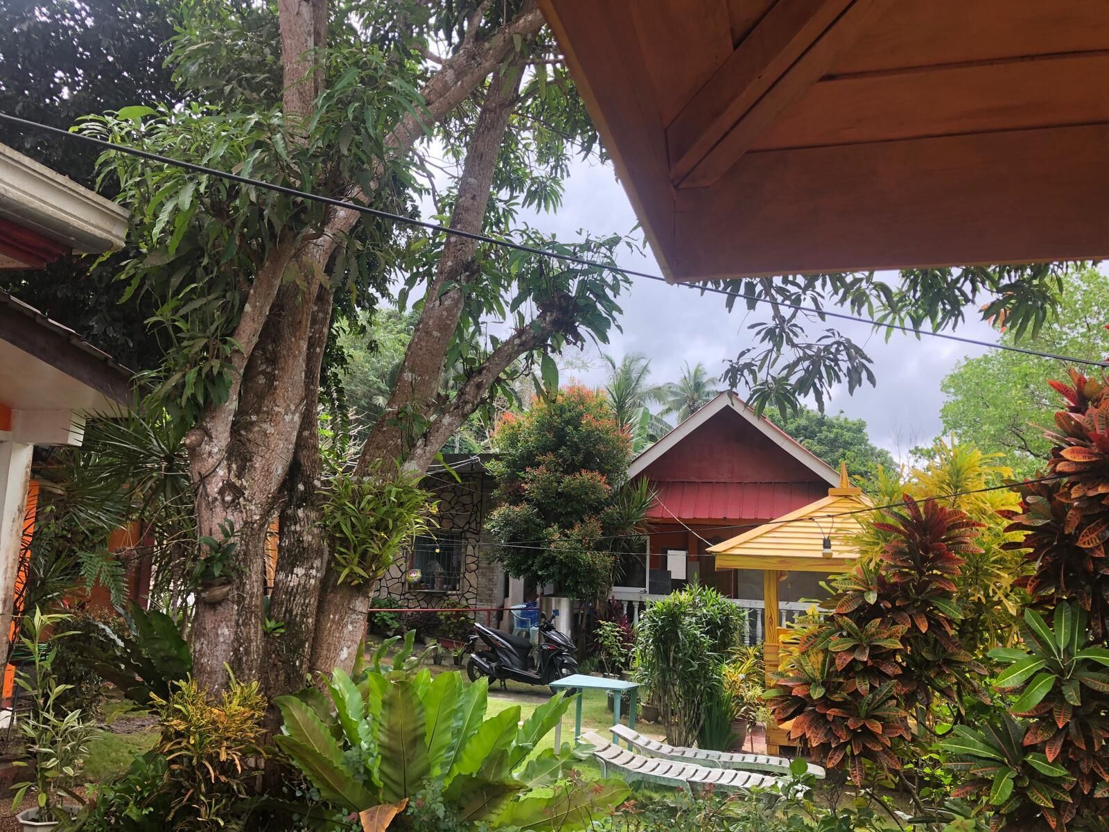 Un jardin luxuriant, avec une grande variété de plantes et d’arbres, une terrasse en bois et un bâtiment au toit rouge.