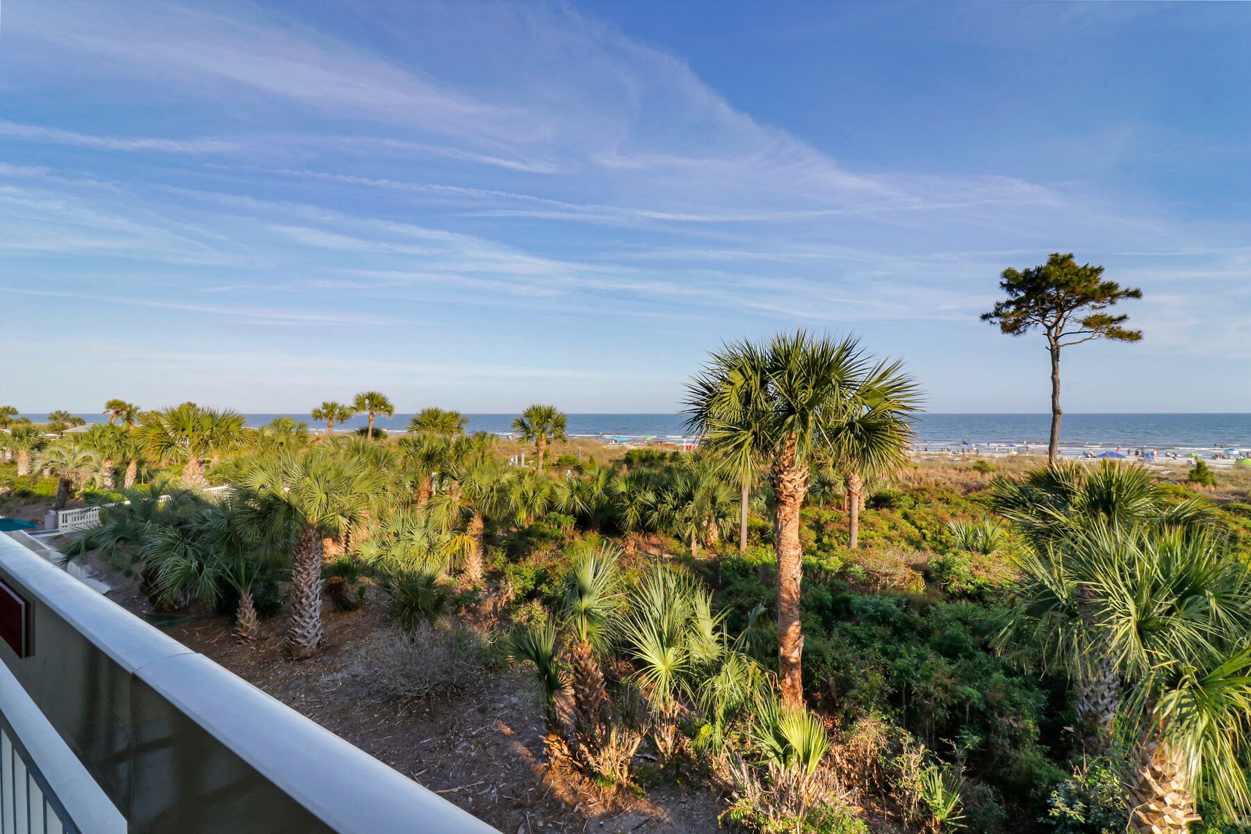 Eine Küstenlandschaft mit dichter Vegetation und freiem Blick auf Strand und Meer.