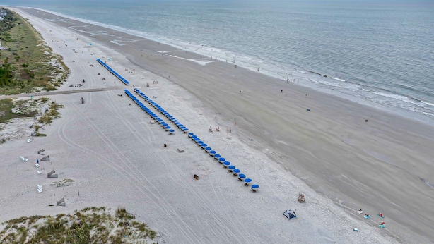 Una playa con hileras de sombrillas azules y sillas, una orilla arenosa y el océano al fondo.