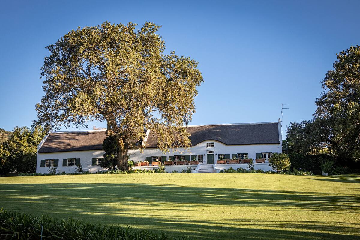 A white building with a large tree in front, a well-maintained lawn, and a clear blue sky.