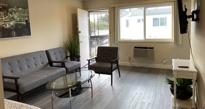 Charming Apartment in the heart of Silicon Valley unit 3