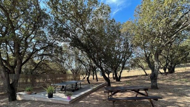 An outdoor area with picnic tables and benches, surrounded by trees. - Beautiful T3 for 4/5 people 5 minutes from the beach (Serra-di-Ferro)