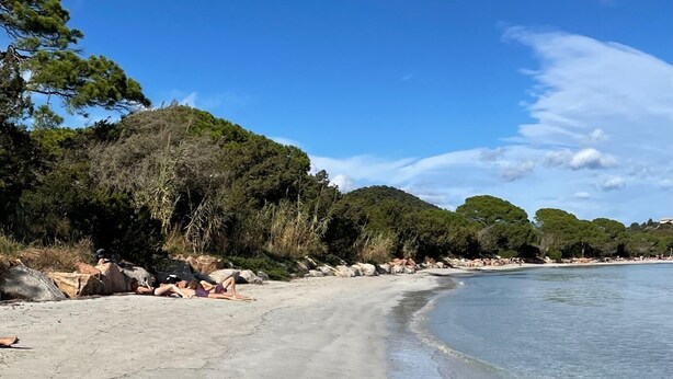 A beach with clear water, rocks, and trees. - 5 bedroom house in Palombaggia (Porto Vecchio) with view and direct access to the sea (Porto-Vecchio)