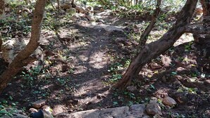 A rocky forest path with trees overhead. - 5 bedroom house in Palombaggia (Porto Vecchio) with view and direct access to the sea (Porto-Vecchio)