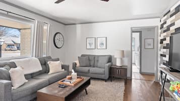 Televisio, DVD-soitin