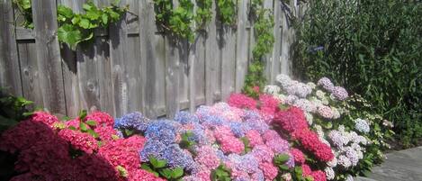 المنطقة المحيطة بالمنشأة