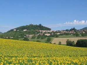 Ăvrigt