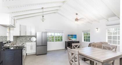Caribbean Retreat with Modern Kitchen Near Pristine Beaches and Crystal Waters