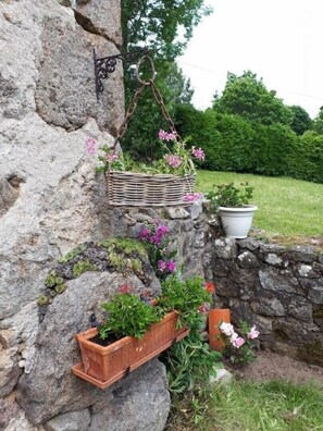 Property grounds - Chez Constant - Saint-romain (SAINT-ROMAIN)