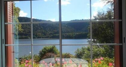 Villa L'ensoleillee - Chambon-sur-lac