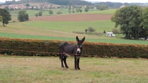 Golf - 63g63248 - Saint-jean-saint-gervais (SAINT JEAN SAINT GERVAIS)