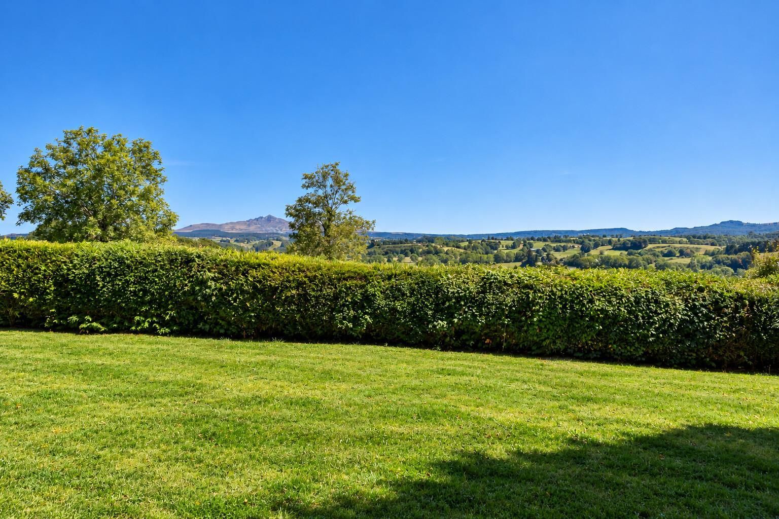 A grassy field with a hedge in the foreground and a mountain range in the background.