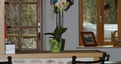 Chez Félix et Amélie