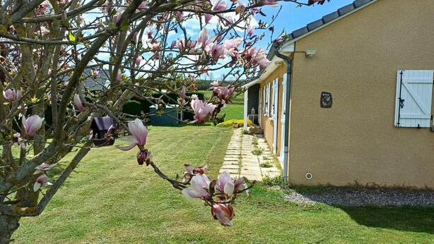 A building with a paved pathway leading to a row of windows, surrounded by a well-maintained lawn and flowering trees. - Gîte des Mésanges - Nebouzat (NEBOUZAT)