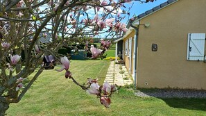 A building with a paved pathway leading to a row of windows, surrounded by a well-maintained lawn and flowering trees.
