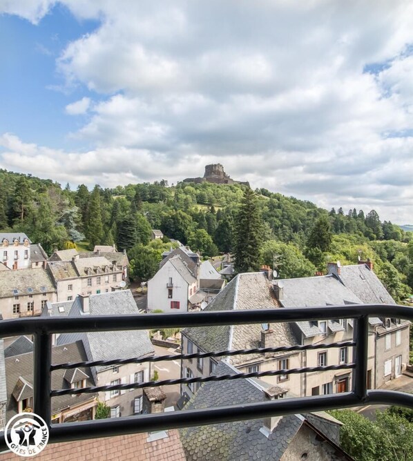 Property grounds - Les Volcans - Murol - Gîte (MUROL)