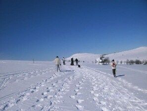 Sne- og skisport