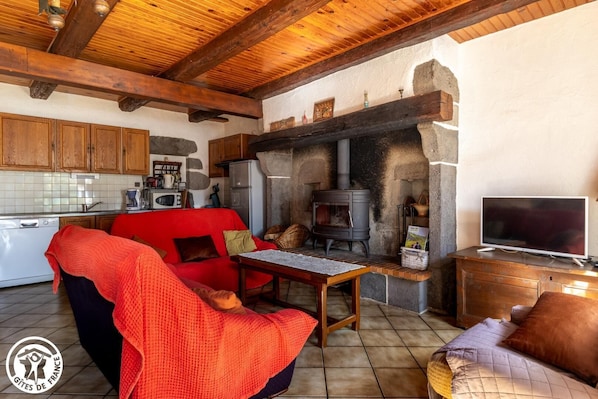 TV, fireplace
