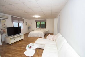 TV, fireplace, ping pong