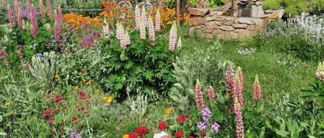 المنطقة المحيطة بالمنشأة