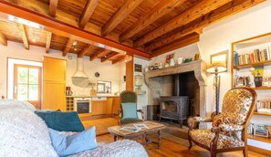 Télévision, cheminée, lecteur de DVD, livres