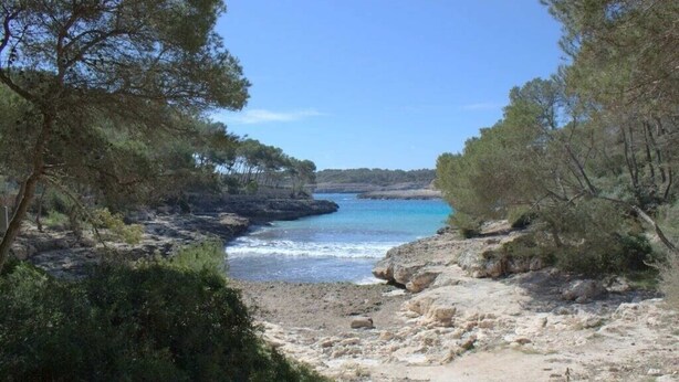Paisaje costero con terreno rocoso, árboles y una vista despejada del mar.