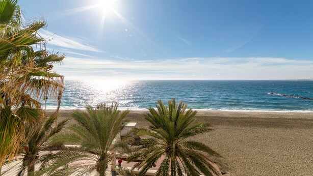 Una platja amb palmeres, cel blau i l'oceà.