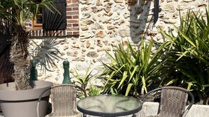 Un espace extérieur aménagé avec des chaises en osier et une table en verre, entouré de plantes en pot et d’un mur en pierre.