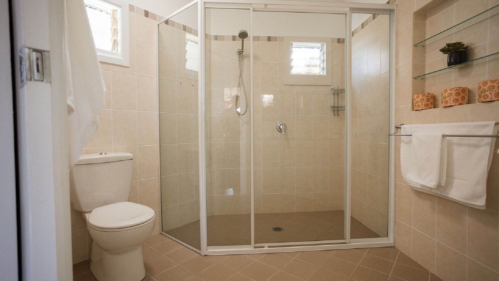 A bathroom with a glass-enclosed shower, a toilet, and a shelf with decorative items.